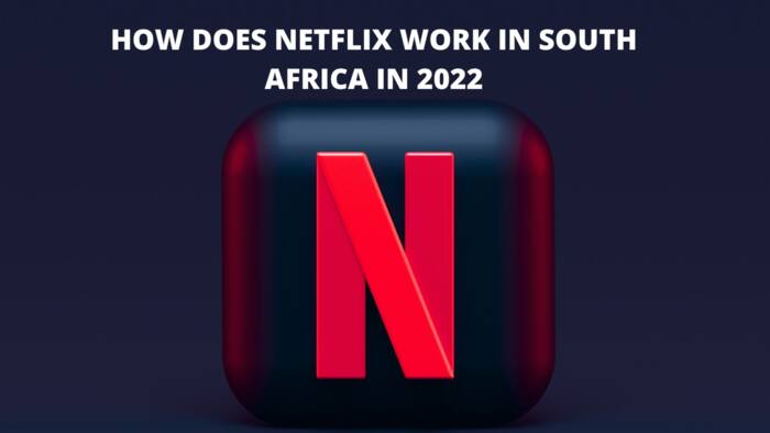 How does Netflix work in South Africa 2022: Guide, plans, and prices