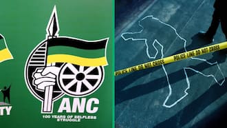 South African Police Service launch manhunt after ANC Rustenburg councillor shot to death