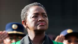 Former Social Development Minister Bathabile Dlamini pleads for lesser sentence, found guilty of perjury