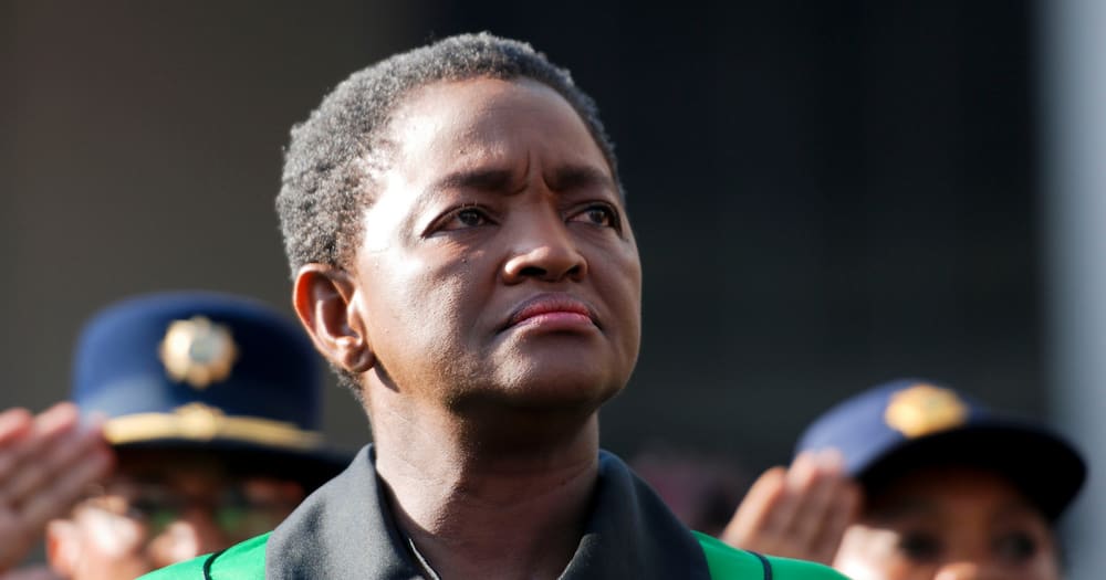 Former Social Development Minister, Bathabile Dlamini pleads lesser sentence, earns R110 000 per month, fine, jail time, ANC Women's league, SASSA