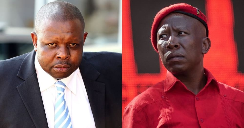 Chief Justice, Judge John Hlophe, Julius Malema