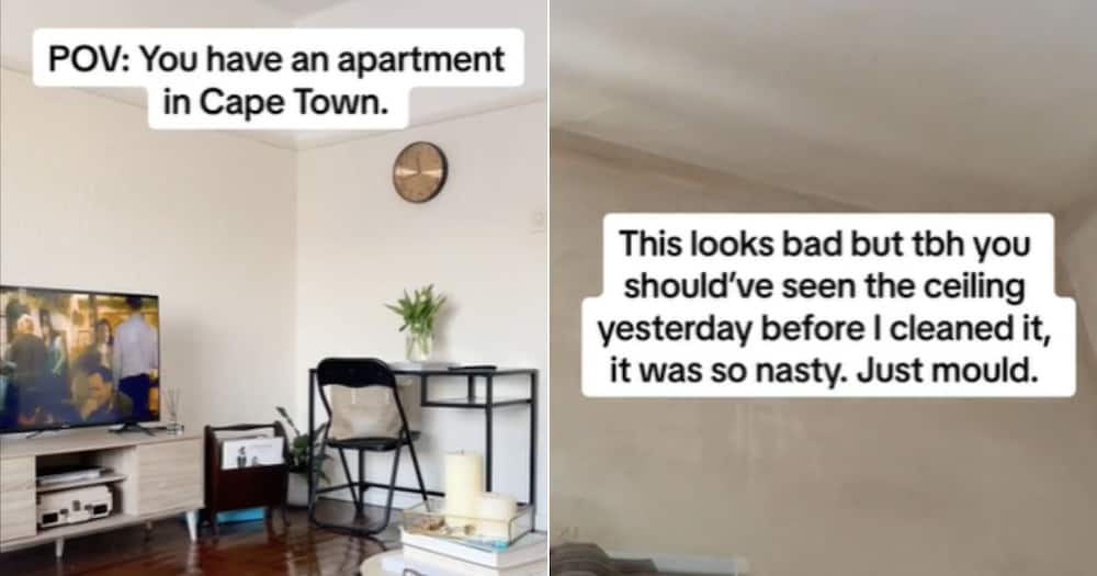 Cape Town tenant shows mould in TikTok video