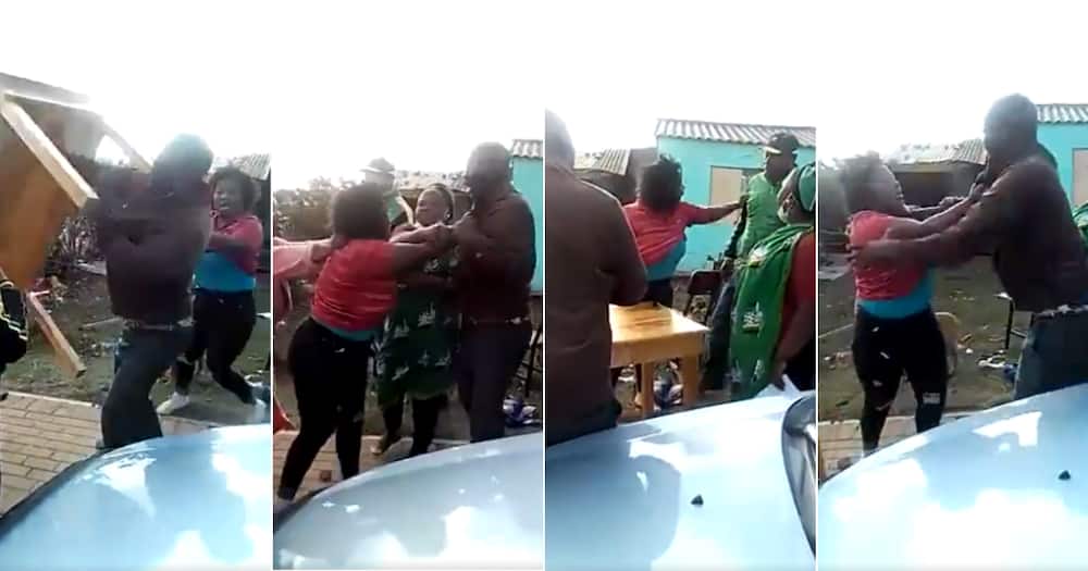 Woman, ANC, Stomping, Fight, Video, Twitter reactions