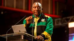 President Cyril Ramaphosa condemns the DA for seeking foreign election observers