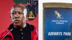EFF leader Julius Malema hires legal team to reverse sale of 51% of SAA for R51 to Takatso consortium