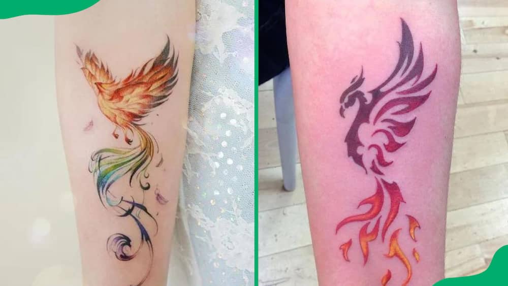 Colour phoenix tattoo
