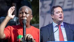 Malema focused on winning 2024 general elections as DA’s John Steenhuisen declares EFF public enemy No. 1