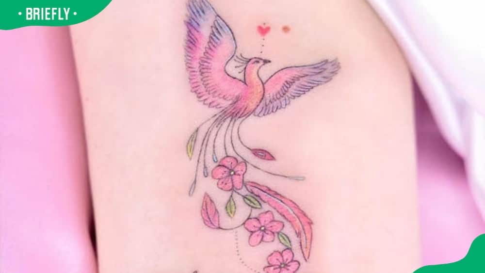 Pink phoenix tattoo