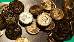 Old and new SA coins price list 2024: worthy investments for cash