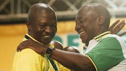 'Day 2': Locals online jokingly credit Deputy President David Mabuza for a better SA