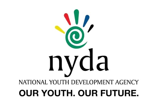 how does nyda funding work