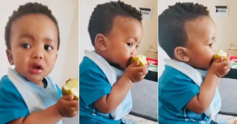 Mzansi, warmed by video, adorable, baby, eating apple, from daddy
