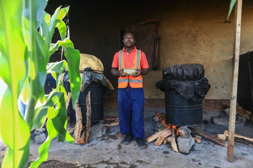 A kilo of oyster mushrooms sells in Bafoussam for 2,000 CFA francs, just over three dollars A kilo of oyster mushrooms sells in Bafoussam for 2,000 CFA francs, just over three dollars