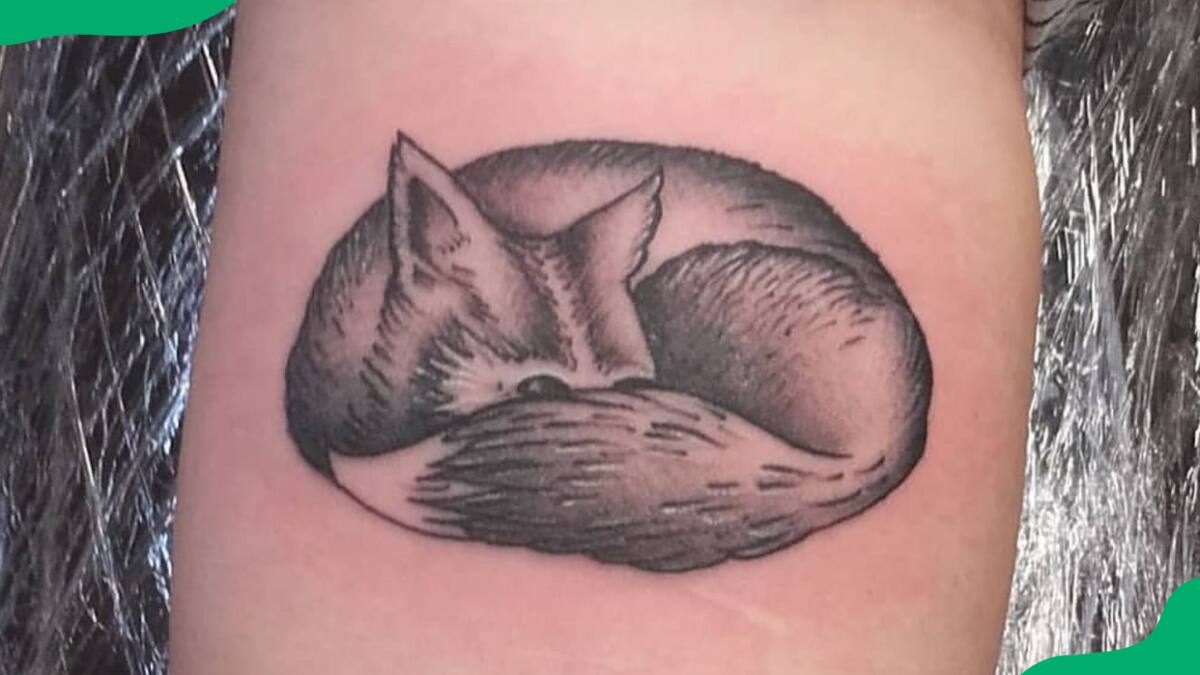 Matt Kim - Matt's Fat Cat Tattoo | LinkedIn