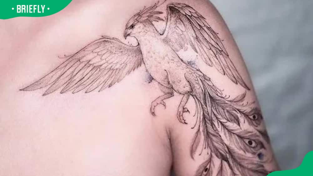Intricate phoenix tattoo