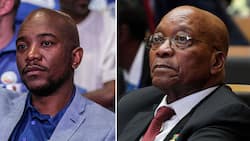 Mmusi Maimane shades former president Jacob Zuma: "Not my moral compass"