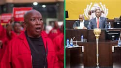 Economic Freedom Fighters returns to court to have Parliament suspension for SONA set aside