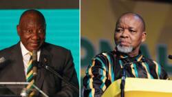 Gwede Mantashe calls ANC to protect President Cyril Ramaphosa at all costs, sparking anger