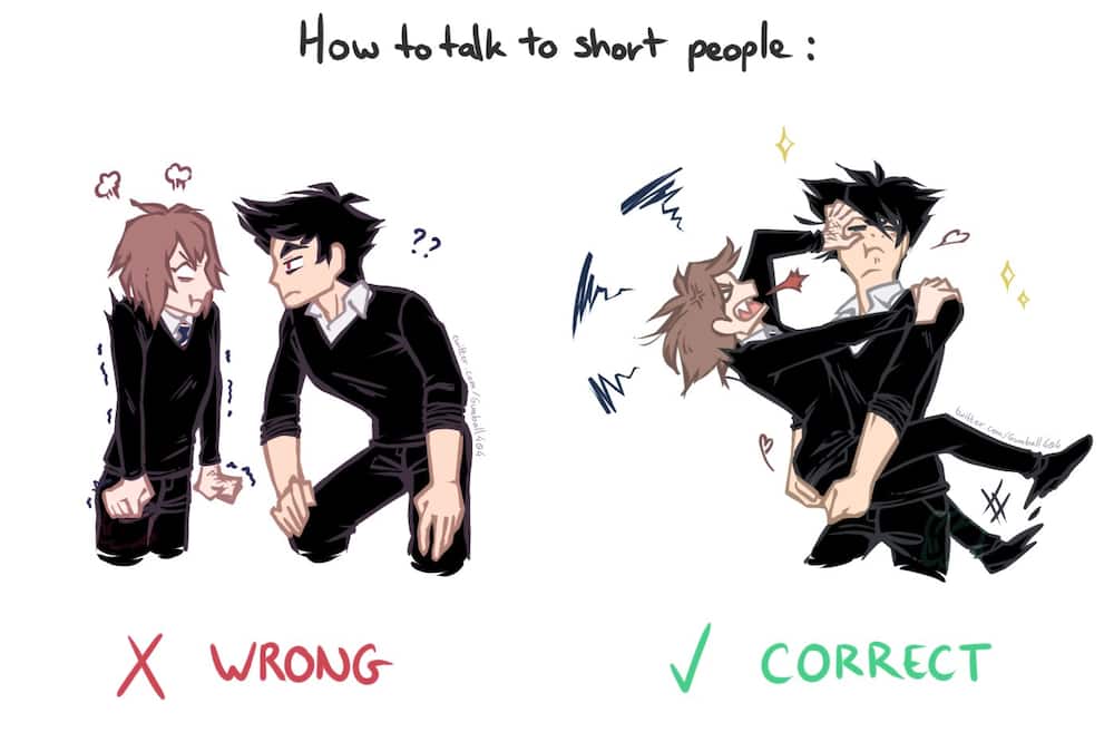 tall and short people funny