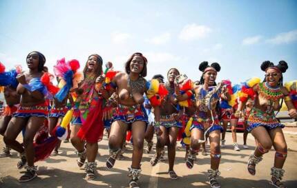 Reed Dance South Africa: Here is everything you need to know about it ...