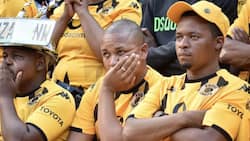 Kaizer Chiefs fans have all but given up hope the team can finish the season in the top 8