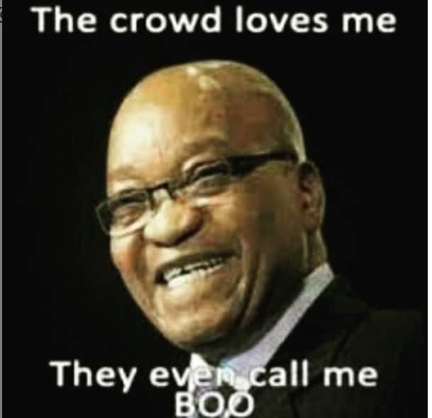 Zuma memes