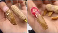 Video of nails getting done using groundnut shell leaves internet users amused