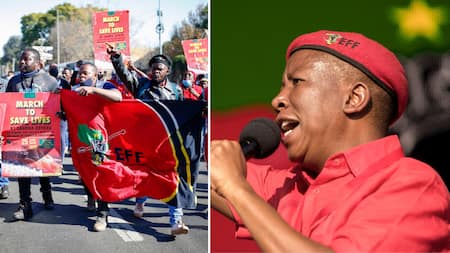 EFF turns 9: 5 Most memorable times the EFF protested for change in South Africa