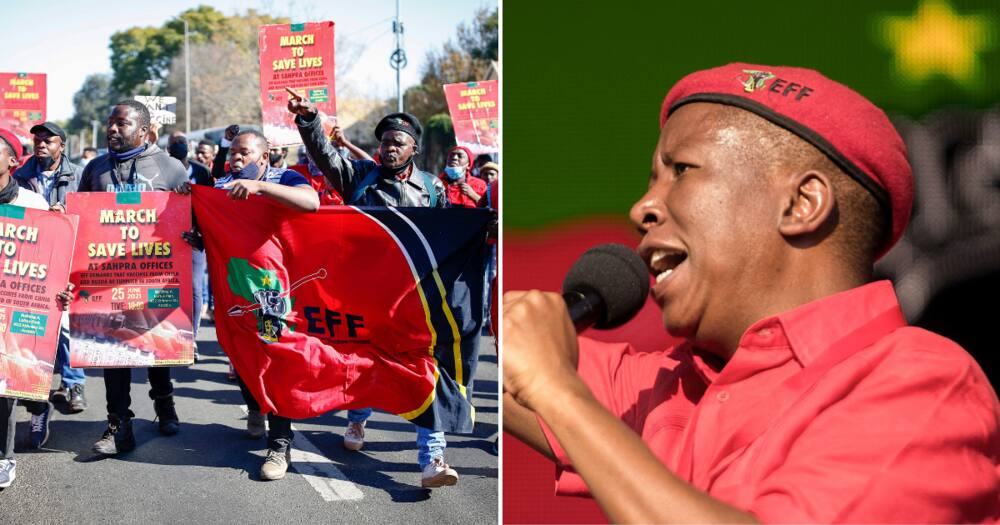 Economic Freedom Fighters leader Julius Malema