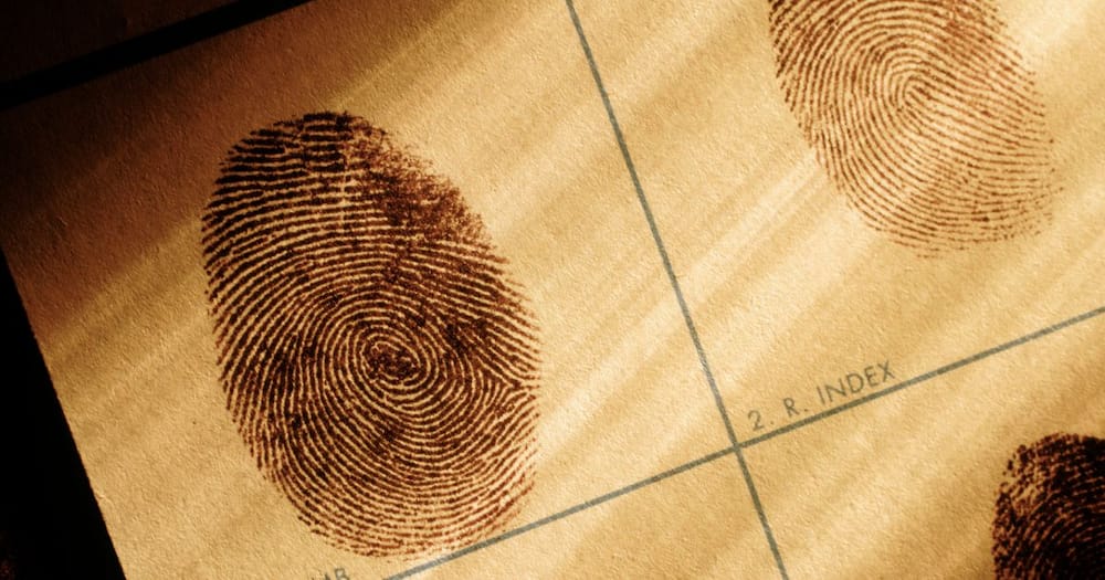 Fingerprint evidence