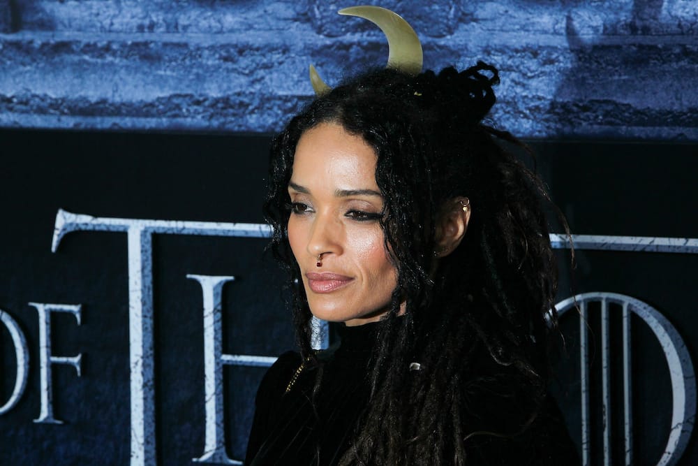 Lisa Bonet's net worth