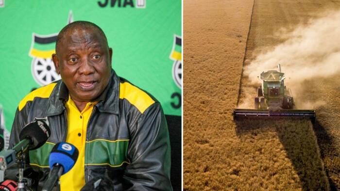"Land is a liability": ANC proposal leaked, citizens have their say on redistribution