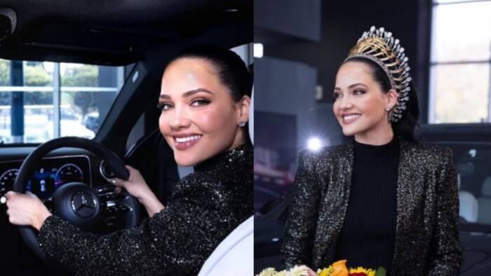 Natasha Joubert: age, height, parents, education, worth