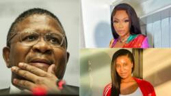 Bonang Matheba and Duduzile call out Fikile Mbalula for insensitivity after N2 Pongola accident, Mzansi here for it