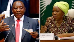 Dlamini-Zuma and ANC executives still calling for Ramaphosa's head despite addressing the Phala Phala scandal