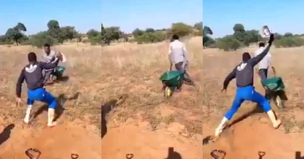 Men leave SA laughing out loud with wheelbarrow drags