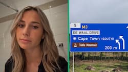 Canada exchange student in South Africa posts TikTok video of fun days in Cape Town at Stellenbosch University