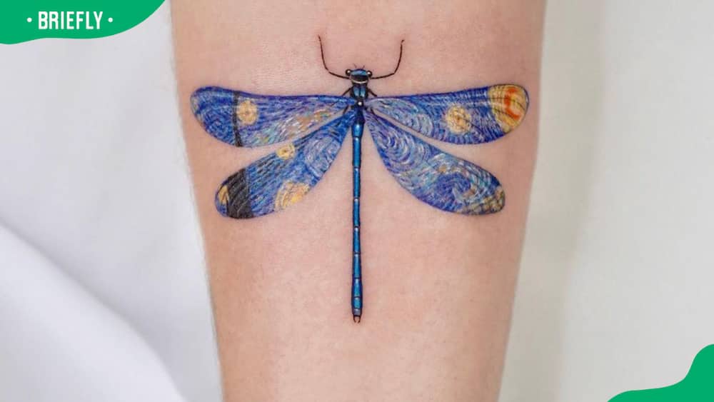Blue dragonfly tattoo