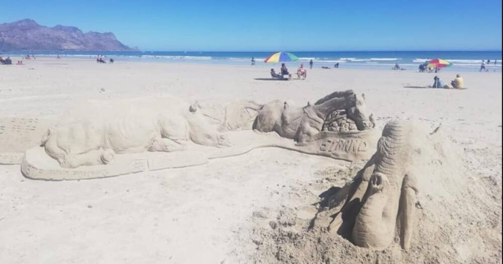 South African art lovers show great appreciation of work by a Cape Town artist using beach sand. Image: Facebook