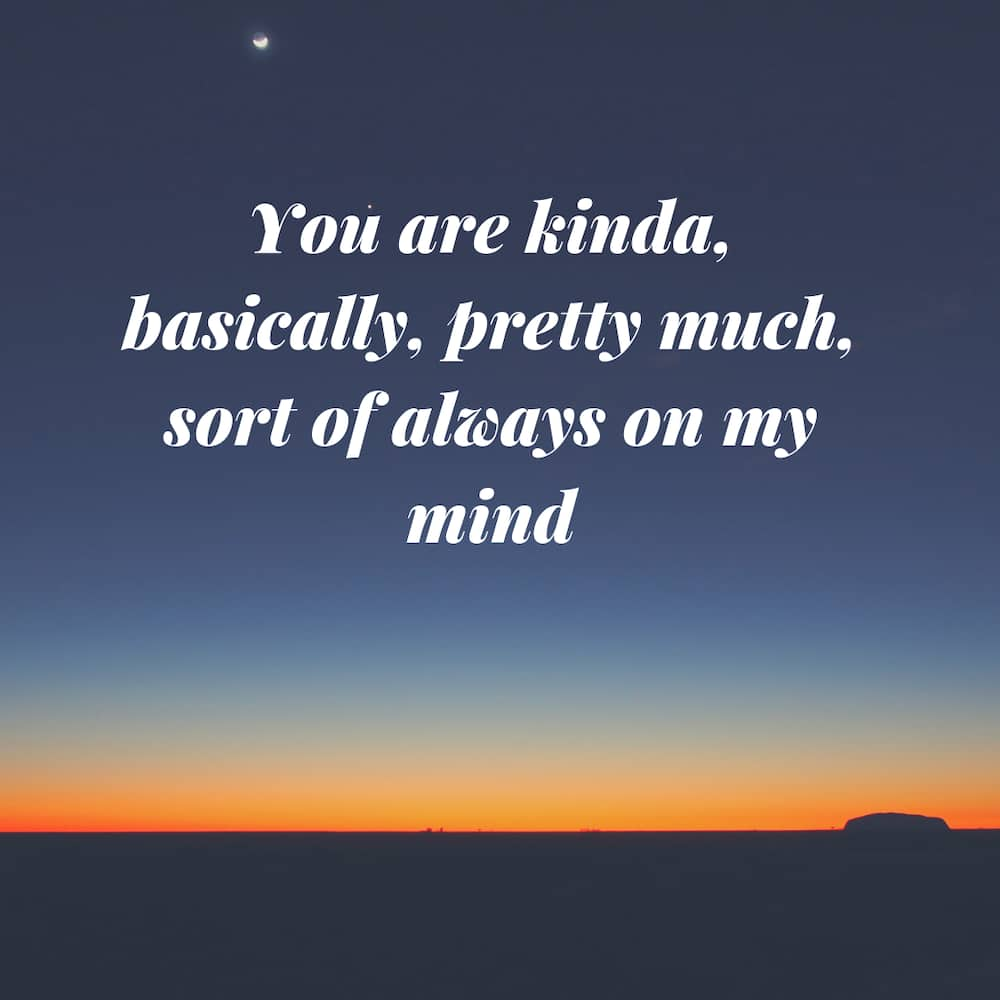 40 cute thinking of you quotes with images  Briefly.co.za