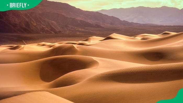 Top 9 driest deserts in the world and the reason behind it