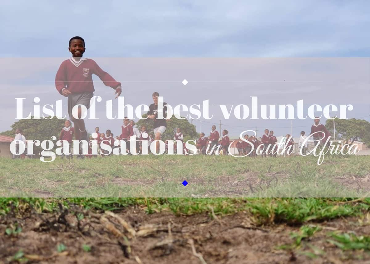 list-volunteer-organizations-and-travel-grants-download-this-list-of