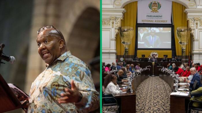 Parliament Speaker Solomon Tsenoli turns down ATM leader Vuyo Zungulu’s request for rand manipulation debate