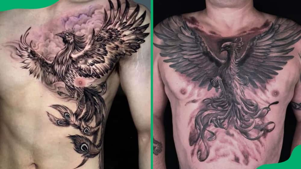 Phoenix chest tattoos