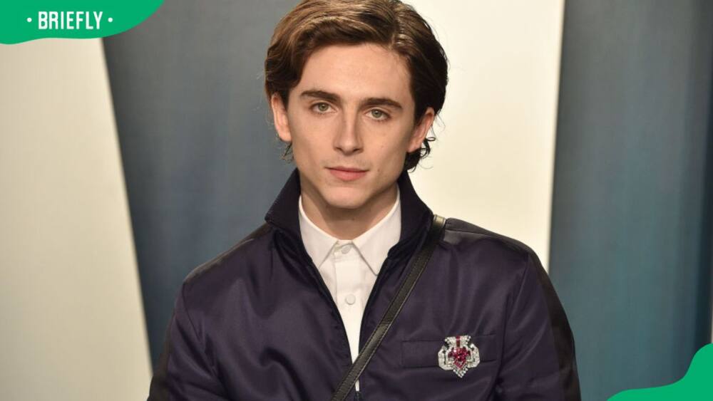 Pauline Chalamet’s profiles Pauline Chalamet’s profiles