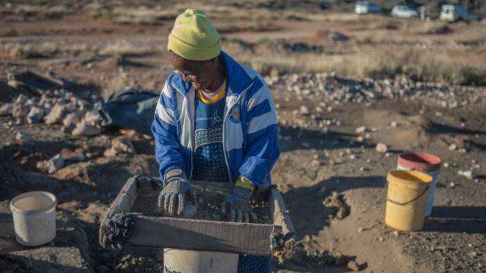 11 Illegal miners nabbed in Limpopo and assets worth R3m seized: "Arrest them all"