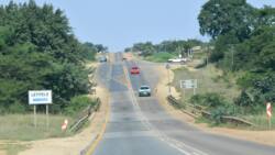 Limpopo man kills girlfriend and later commits suicide, SA horrified at gender-based violence