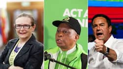 Helen Zille unsupportive of Herman Mashaba' as Joburg mayor, DA dismisses coalition requests