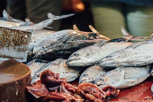 yellowfin tuna price