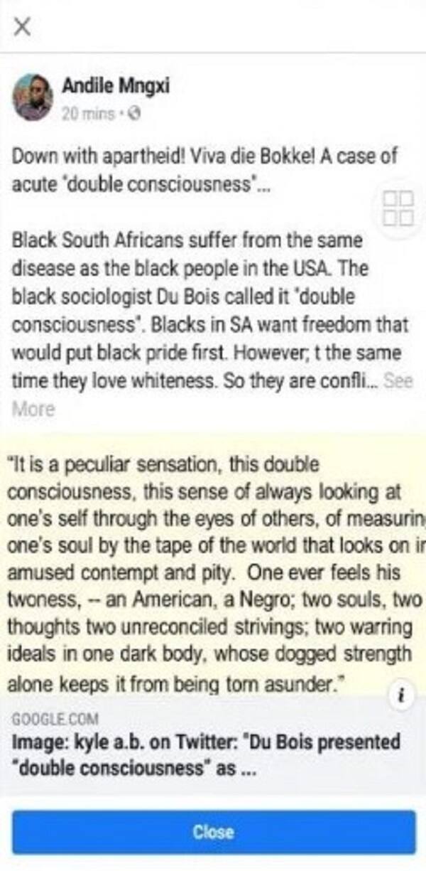 BLF leader Andile Mngxitama banned from Facebook for ‘racism’ quote